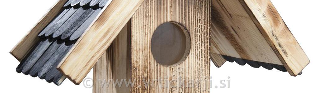 Hranjenje ptic pozimi