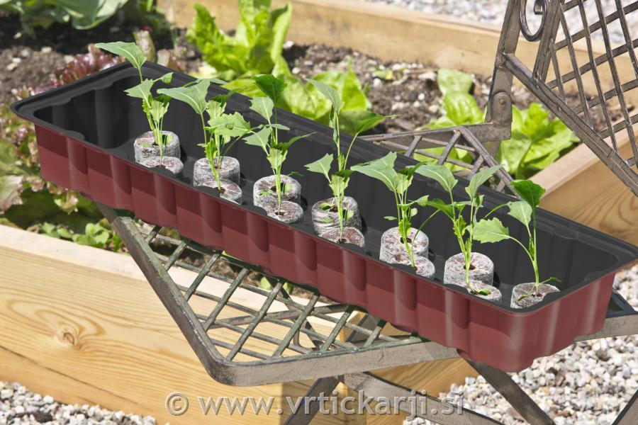 Windhager Rastlinjak sobni, 36 Jiffy tablet