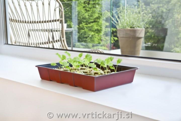 Windhager Rastlinjak sobni, 24 Jiffy tablet