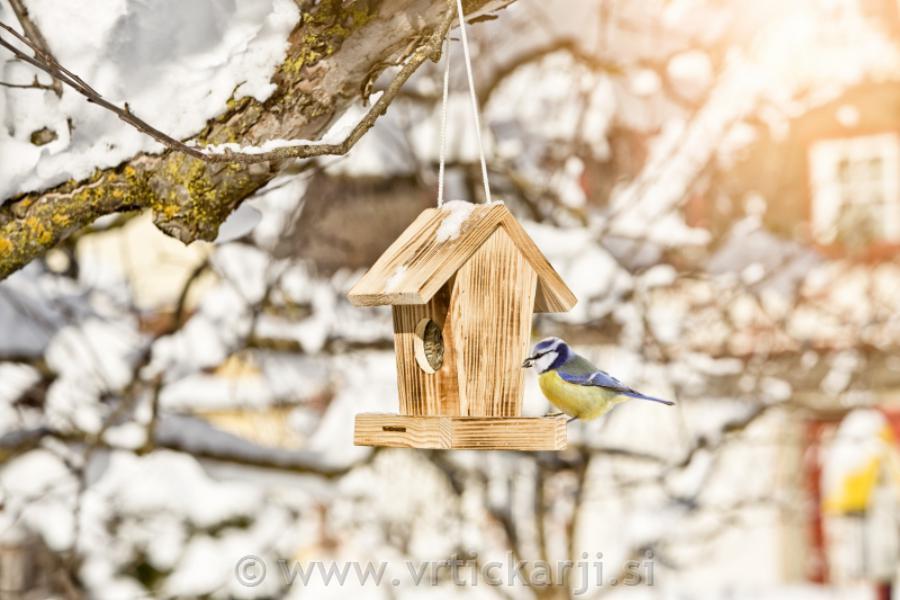Windhager Ptičja krmilnica Cottage, lesena