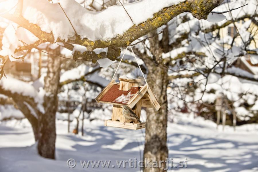 Windhager Ptičja krmilnica Gaisberg, lesena