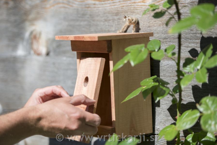 Windhager Ptičja valilnica Birdy, lesena