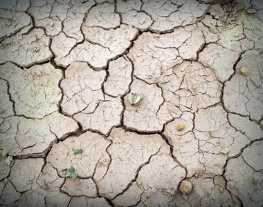 3 preprosti načini za spopadanje s sušo …