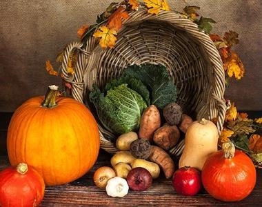 Septembrska opravila na vrtu