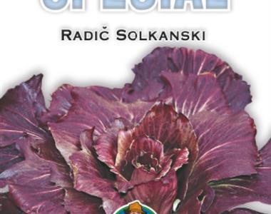 Solkanski radič - edinstven avtohtoni pridelek