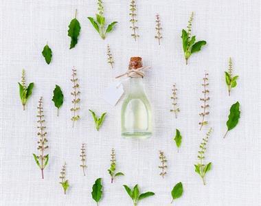 Gojenje zelišč na okenski polici