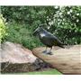 Windhager Strašilo za ptice Vrana, 37cm, črna