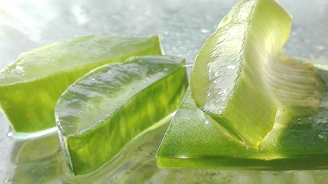 Aloe vera razrezana